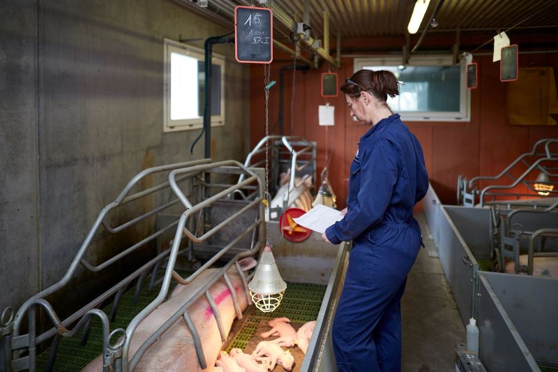 VẮC XIN ĐA GIÁ – GIẢI PHÁP TOÀN DIỆN BẢO VỆ SỨC KHỎE CHO NGƯỜI VÀ VẬT NUÔI